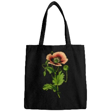 Discover Opium poppy 4 Bags