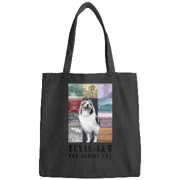 Discover Tamu Eras Tour 2104 Bags