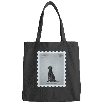 Discover The Black Dog Tayl0r Swift TTPD Bags