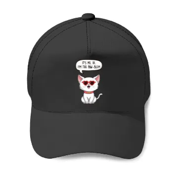 Discover Anti-hero Taylorr Swift Cat Baseball Caps