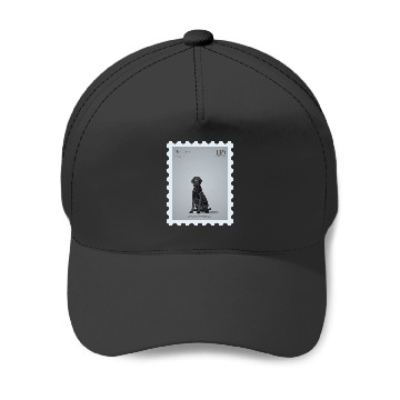 Discover The Black Dog Tayl0r Swift TTPD Baseball Caps