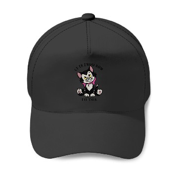Discover Disney Pinocchio Figaro Cute From Bow To Toe Baseball Caps