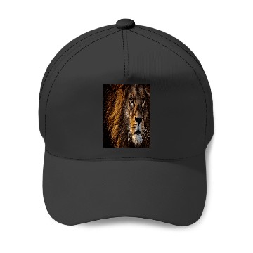 Discover Lion King Disneyss Baseball Caps