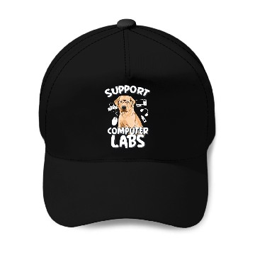 Discover Computer Lab Funny Computer Science Teacher Dog Baseball Caps