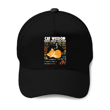 Discover Cat Wisdom Human Should Learn From Baseball Caps