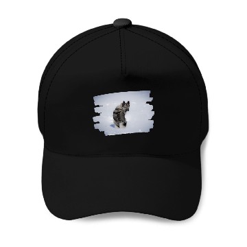 Discover Elkhound Pet Grey Baseball Tees Baseball Caps