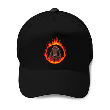 Discover Field Spaniel Pet Devil Dog Baseball Tees Baseball Caps