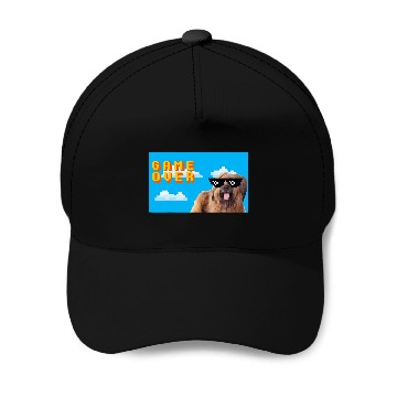 Discover Briard Pet 8Bit Game Over Baseball Tees Baseball Caps