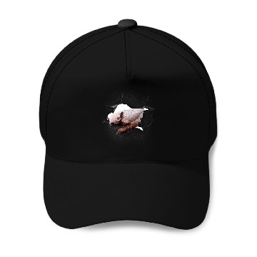 Discover Armadillo Pet Face Breakthrough Baseball Tees Baseball Caps