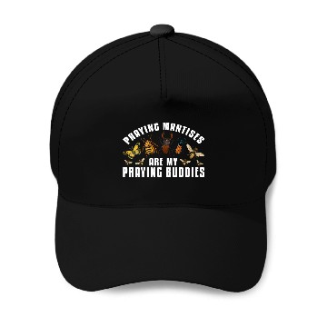 Discover Entomologist Bug Identification Science Insect Stuff 21 Zip Baseball Caps