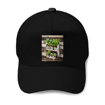 Discover Herb Garden Rustic Markers Baseball Caps