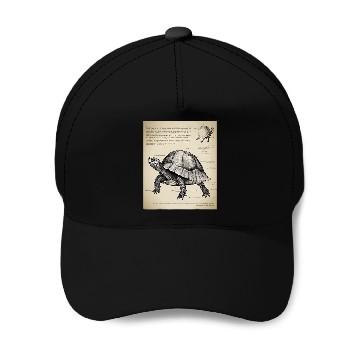 Discover Turtle Pet Box Turtle Structural Blueprint Baseball Tees Baseball Caps