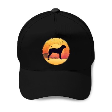 Discover Rhodesian Ridgeback Dog Breed 50 Baseball Caps