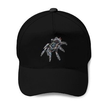 Discover Zebra Tarantula Spider Baseball Tees Baseball Caps