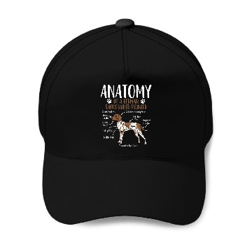 Discover German Shorthaired Pointer Dog Anatomy Baseball Caps