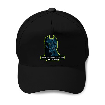 Discover Premises Protected by Cane Corso Baseball Tees Baseball Caps