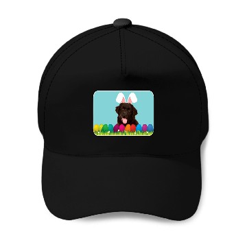 Discover Newfoundland w Bunny Ears Baseball Caps