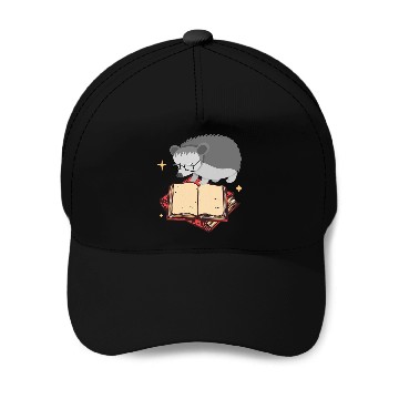 Discover Hedgehog Book Reading Baseball Caps