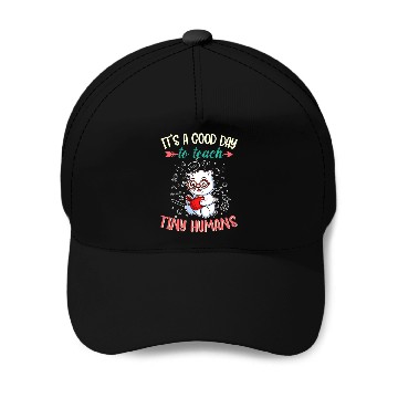 Discover Good Day To Teach Tiny Humans Elementary Teacher Baseball Caps