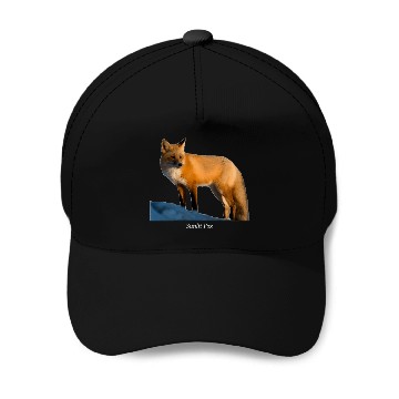 Discover Sunlit Fox Wildlife Nature Baseball Caps