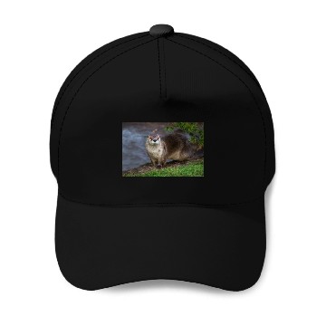 Discover Adorable Otter on the Riverbank Baseball Caps