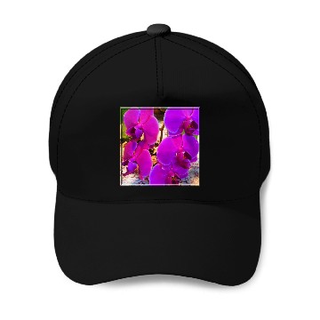 Discover Orchid 4 Baseball Caps