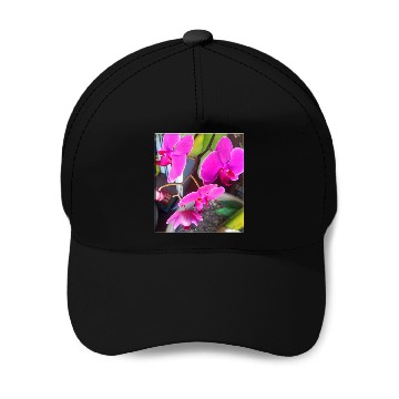 Discover Orchid 1 Baseball Caps