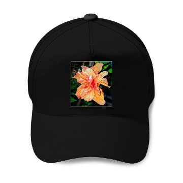 Discover Hibiscus 1 Baseball Caps