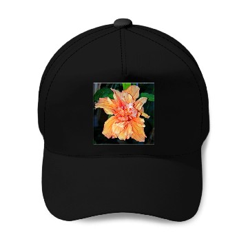 Discover Hibiscus 2 Baseball Caps