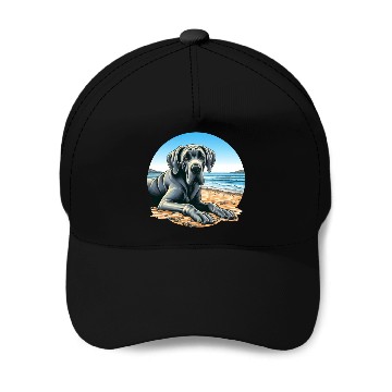 Discover Great Dane On The Beach Drawing Baseball Caps