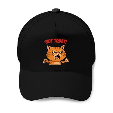Discover Not Today Angry Cat Baseball Caps | Funny Grumpy Cat Mem