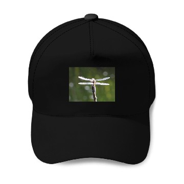 Discover Light grey dragonfly Baseball Caps