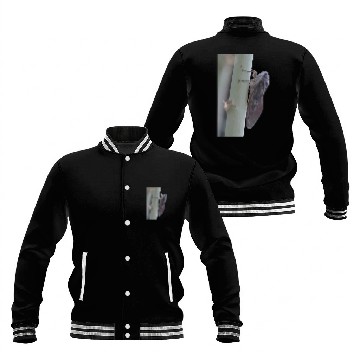 Discover Cicada Vector Cut Out Baseball Jackets