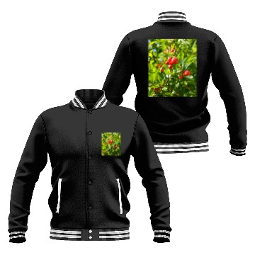 Discover Pomegranate Closed Red Flower Bud Photography Zip Baseball Jackets