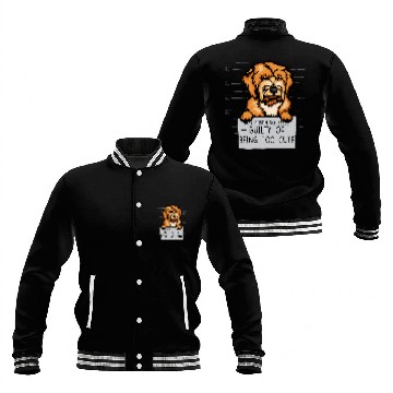 Discover Mini Golden Doodle Guilty Beeing Too Cute Mini Goldendoodle Baseball Jackets