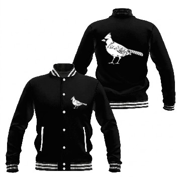 Discover Cardinal Baseball Jackets