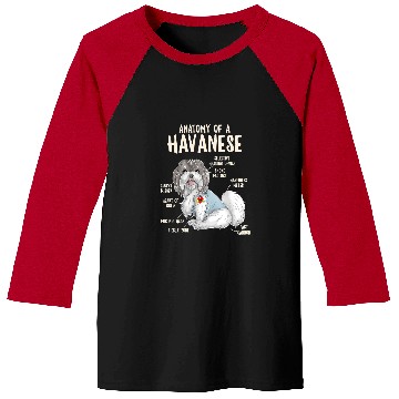 Discover Dog Havanese Anatomy of A Havanese Dog Owner Puppy Funny Cute 3 Baseball Tees