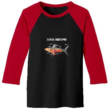 Discover anatomy of a shark anatomical doctor veterinarian medicals Baseball Tees