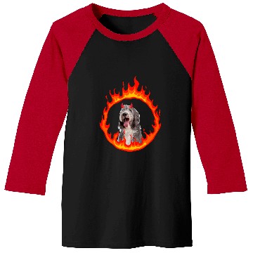Discover Devil Dog Bearded Collie 2 Baseball Tees