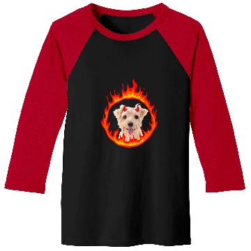 Discover Devil Dog Norfolk Terrier Baseball Tees