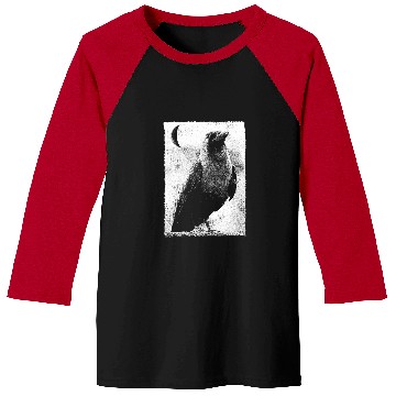 Discover Alternative Clothes Aesthetic Goth Women 2Crow Graphic Baseball Tees