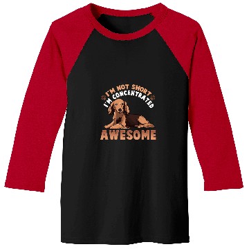 Discover Dachshund Pet s Funny Brown Wiener 450 Baseball Tees