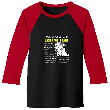 Discover Labrador Pet Brain Black Yellow Chocolate Lab Baseball Tees