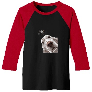 Discover English Setter Pet Funny Curious Baseball Tees