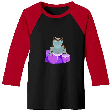 Discover Frog Pet Crystal Amethyst Gemstone for Toad Owners Baseball Tees