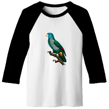 Discover Parrot Tropical bird from the rainforest 25 Baseball Tees