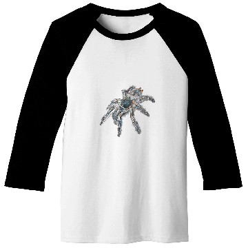 Discover Zebra Tarantula Spider Baseball Tees
