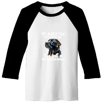 Discover My Black Lab Isnt Spoiled Labrador Lover Dog Owner Baseball Tees