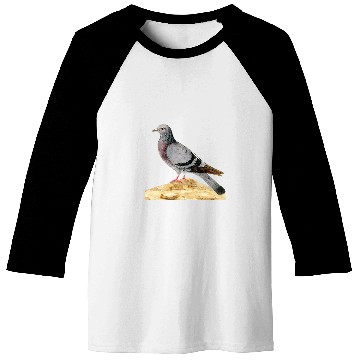 Discover vintages Pigeon Whisperer Trains racing or fancy pigeons Baseball Tees