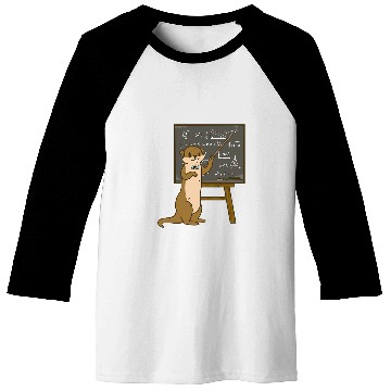 Discover Charming Otter Educator Teaches Complex Equations Baseball Tees